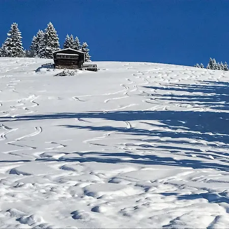 Almchalet Zillertal-2 By Interhome Daire